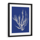 Pop Vi Pop Vi - Vision Studio | Cuadro decorativo de Canvas Lab