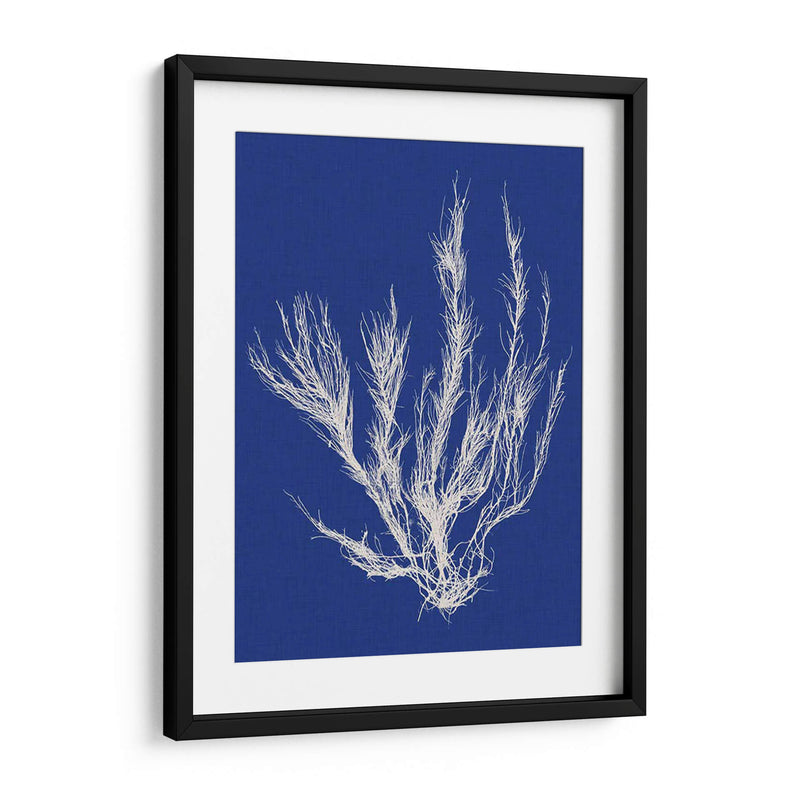 Pop Vi Pop Vi - Vision Studio | Cuadro decorativo de Canvas Lab