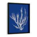 Pop Vi Pop Vi - Vision Studio | Cuadro decorativo de Canvas Lab