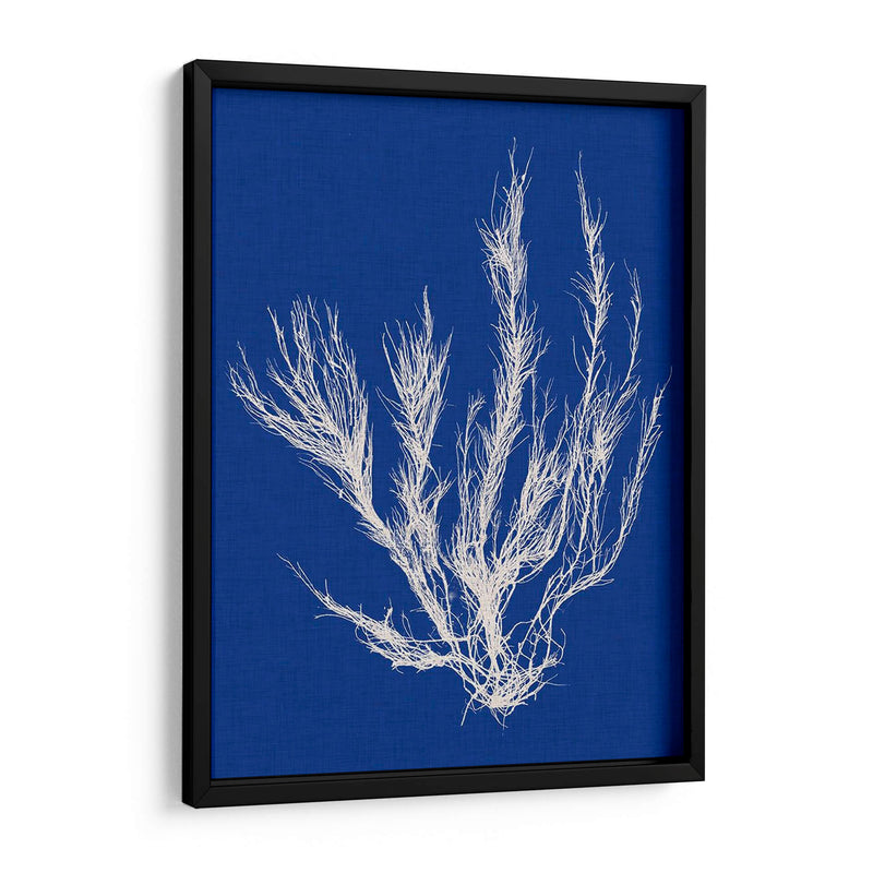 Pop Vi Pop Vi - Vision Studio | Cuadro decorativo de Canvas Lab