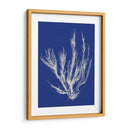 Pop Vi Pop Vi - Vision Studio | Cuadro decorativo de Canvas Lab