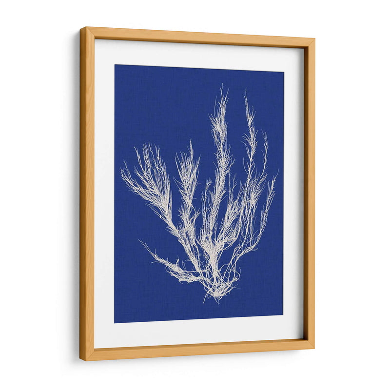 Pop Vi Pop Vi - Vision Studio | Cuadro decorativo de Canvas Lab