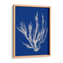 Pop Vi Pop Vi - Vision Studio | Cuadro decorativo de Canvas Lab