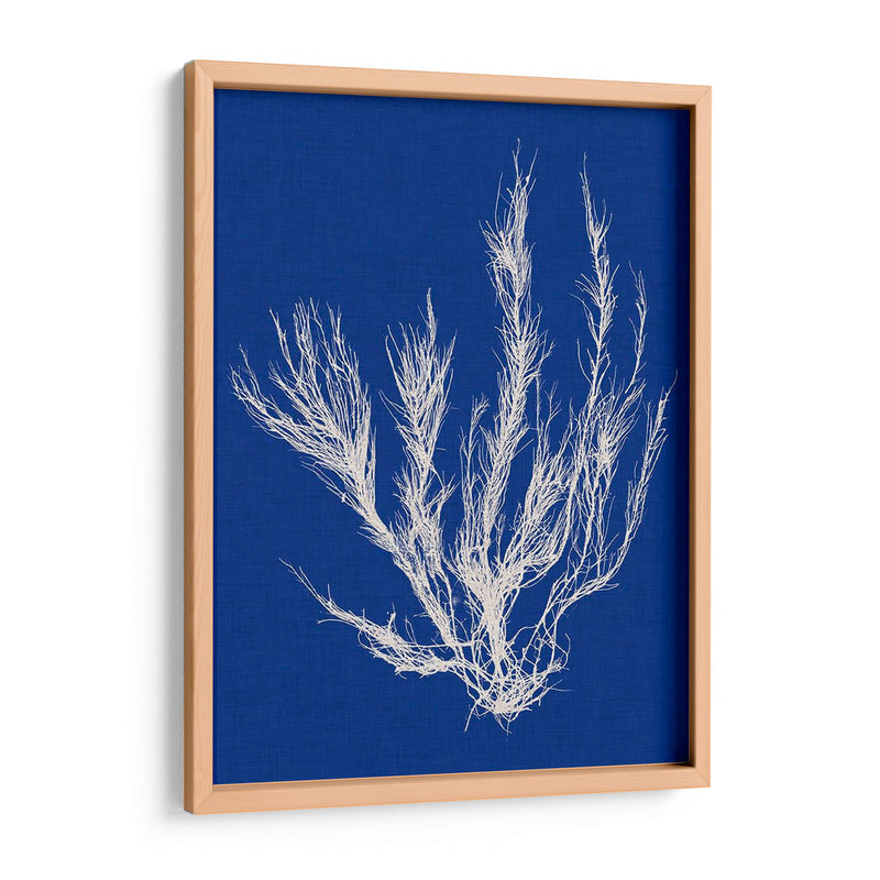 Pop Vi Pop Vi - Vision Studio | Cuadro decorativo de Canvas Lab