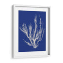 Pop Vi Pop Vi - Vision Studio | Cuadro decorativo de Canvas Lab