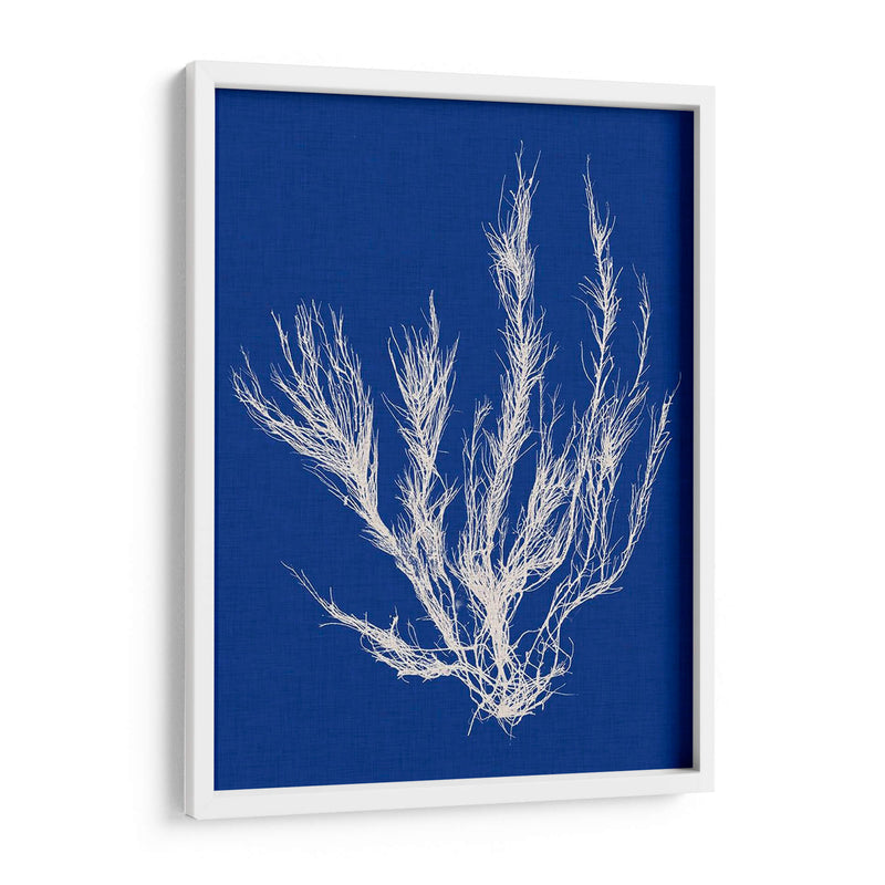 Pop Vi Pop Vi - Vision Studio | Cuadro decorativo de Canvas Lab