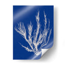 Pop Vi Pop Vi - Vision Studio | Cuadro decorativo de Canvas Lab