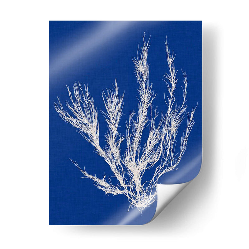 Pop Vi Pop Vi - Vision Studio | Cuadro decorativo de Canvas Lab