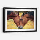 Acercamiento de caballos | Cuadro decorativo de Canvas Lab