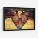 Acercamiento de caballos | Cuadro decorativo de Canvas Lab