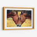 Acercamiento de caballos | Cuadro decorativo de Canvas Lab