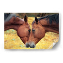 Acercamiento de caballos | Cuadro decorativo de Canvas Lab