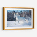 Caballo blanco sobre la blanca nieve | Cuadro decorativo de Canvas Lab