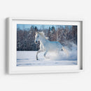 Caballo blanco sobre la blanca nieve | Cuadro decorativo de Canvas Lab