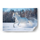 Caballo blanco sobre la blanca nieve | Cuadro decorativo de Canvas Lab