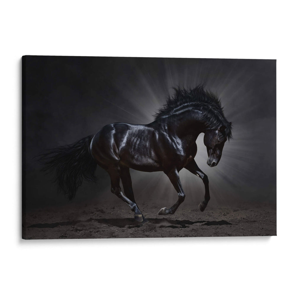 Caballo negro espectacular | Cuadro decorativo de Canvas Lab