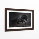 Caballo negro espectacular | Cuadro decorativo de Canvas Lab