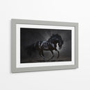 Caballo negro espectacular | Cuadro decorativo de Canvas Lab