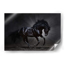 Caballo negro espectacular | Cuadro decorativo de Canvas Lab