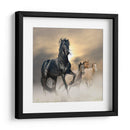 El brillo del caballo | Cuadro decorativo de Canvas Lab