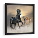 El brillo del caballo | Cuadro decorativo de Canvas Lab