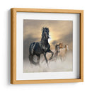 El brillo del caballo | Cuadro decorativo de Canvas Lab