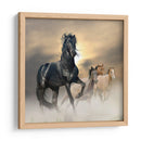 El brillo del caballo | Cuadro decorativo de Canvas Lab