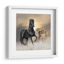 El brillo del caballo | Cuadro decorativo de Canvas Lab