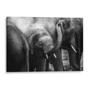 Elefante pequeño | Cuadro decorativo de Canvas Lab