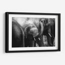 Elefante pequeño | Cuadro decorativo de Canvas Lab