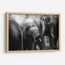 Elefante pequeño | Cuadro decorativo de Canvas Lab