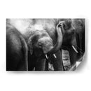 Elefante pequeño | Cuadro decorativo de Canvas Lab