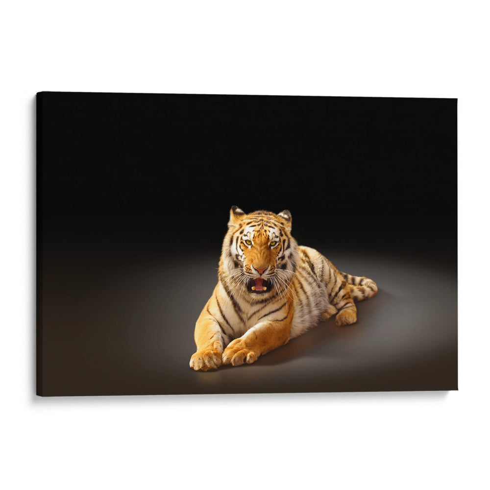 Felino rayado | Cuadro decorativo de Canvas Lab