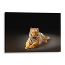 Felino rayado | Cuadro decorativo de Canvas Lab