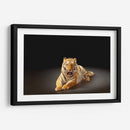 Felino rayado | Cuadro decorativo de Canvas Lab