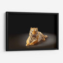 Felino rayado | Cuadro decorativo de Canvas Lab