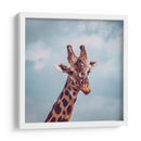 Jirafa mascando | Cuadro decorativo de Canvas Lab