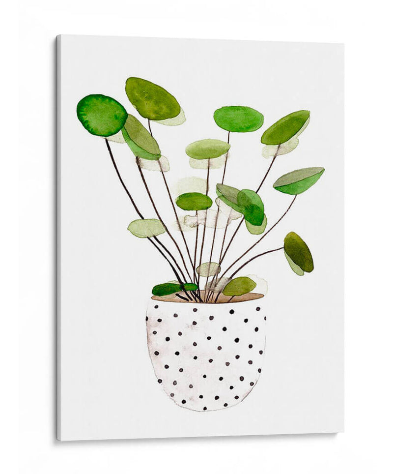 Planta En Una Olla Ii - Melissa Wang | Cuadro decorativo de Canvas Lab