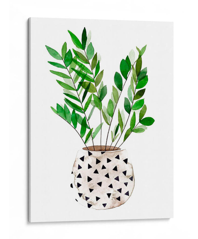 Planta En Una Olla Iii - Melissa Wang | Cuadro decorativo de Canvas Lab