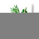 Planta En Una Olla Iii - Melissa Wang | Cuadro decorativo de Canvas Lab