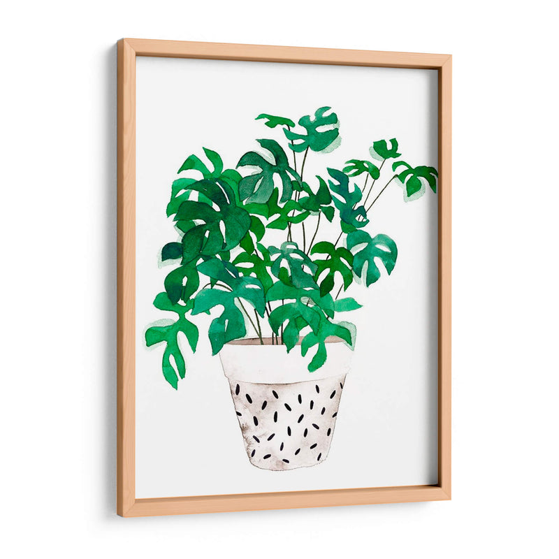 Planta En Un Pote Iv - Melissa Wang | Cuadro decorativo de Canvas Lab