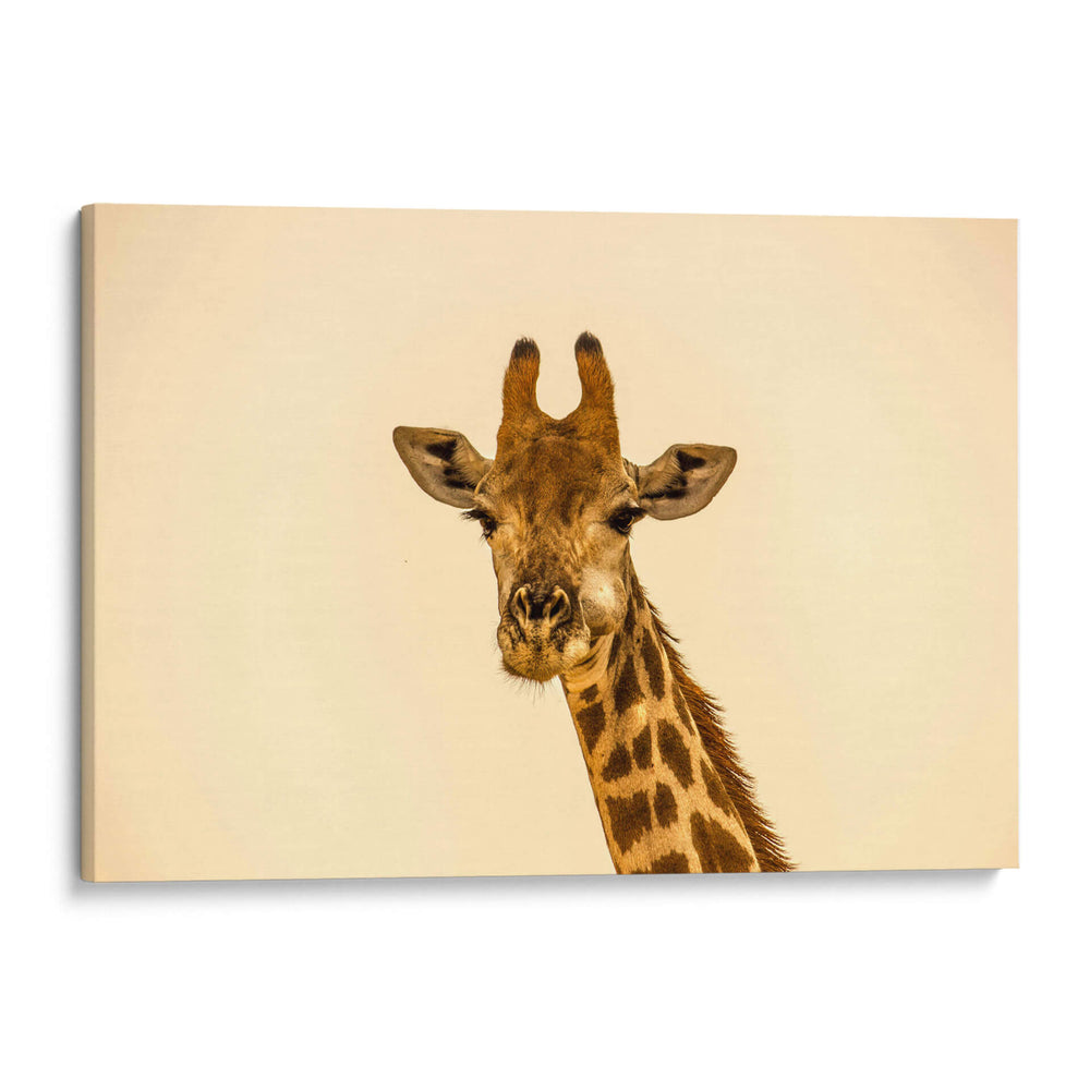 Jirafa sonriente | Cuadro decorativo de Canvas Lab