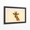 Jirafa sonriente | Cuadro decorativo de Canvas Lab