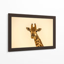Jirafa sonriente | Cuadro decorativo de Canvas Lab