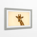 Jirafa sonriente | Cuadro decorativo de Canvas Lab