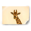 Cuadro decorativo de Canvas Lab