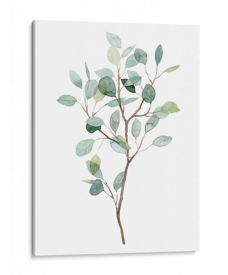 Seaglass Eucalyptus I - Grace Popp | Cuadro decorativo de Canvas Lab