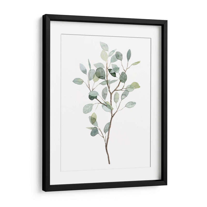 Seaglass Eucalyptus I - Grace Popp | Cuadro decorativo de Canvas Lab