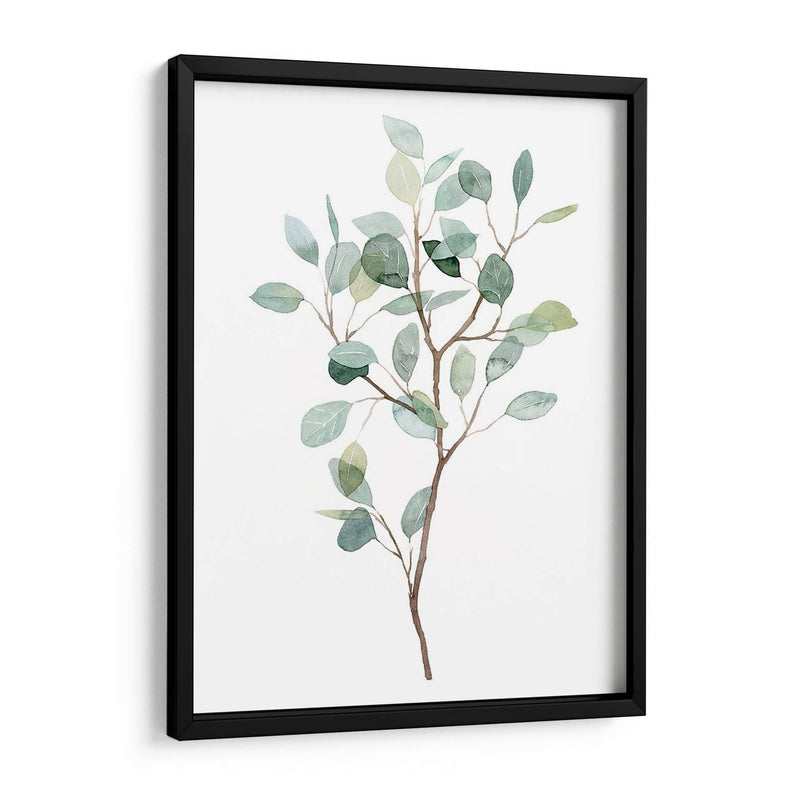 Seaglass Eucalyptus I - Grace Popp | Cuadro decorativo de Canvas Lab