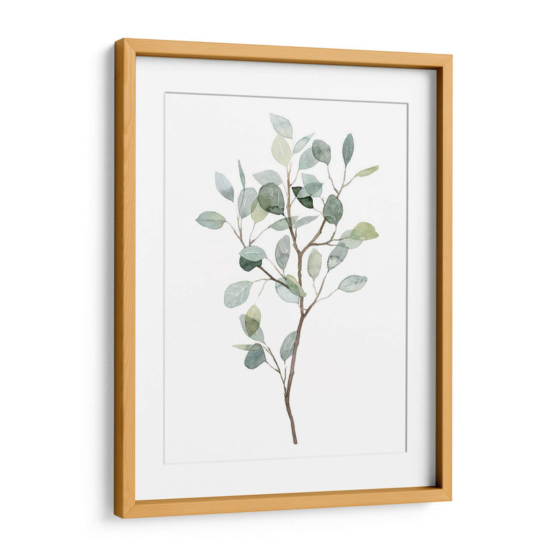 Seaglass Eucalyptus I - Grace Popp | Cuadro decorativo de Canvas Lab